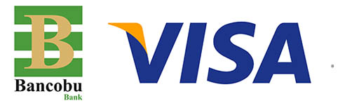 VISA CASH ADVANCE